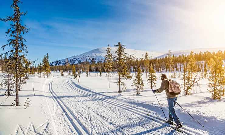 Cross-country skiing